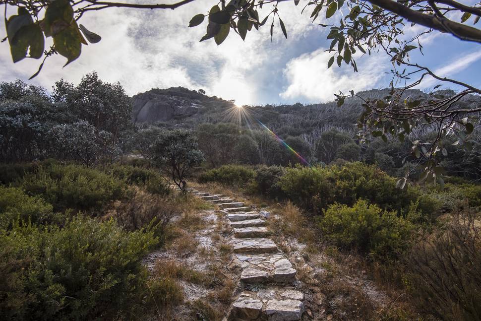 Mt Buffalo Walks